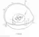 Fig. 06 - Light emitting diode lamp assembly