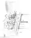 Fig. 02 - APPARATUS FOR PACKAGING A PRODUCT IN A RESPECTIVE PREFORMED WRAPPING