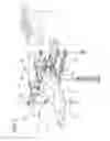 Fig. 04 - APPARATUS FOR PACKAGING A PRODUCT IN A RESPECTIVE PREFORMED WRAPPING