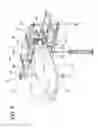 Fig. 06 - APPARATUS FOR PACKAGING A PRODUCT IN A RESPECTIVE PREFORMED WRAPPING