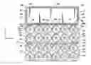Fig. 01 - Container trim configuration