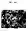 Fig. 09 - Method and apparatus for preparing boron nitride nanotubes by heat treating boron precursor prepared by using air-jet