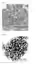 Fig. 04 - Porous oxide semiconductor including three-dimensionally interconnected nanopores, mesopores, and macropores, method for preparing the porous oxide semiconductor and gas sensor including the porous oxide semiconductor as gas sensing material