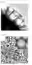 Fig. 06 - Porous oxide semiconductor including three-dimensionally interconnected nanopores, mesopores, and macropores, method for preparing the porous oxide semiconductor and gas sensor including the porous oxide semiconductor as gas sensing material