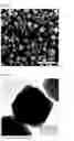 Fig. 08 - Porous oxide semiconductor including three-dimensionally interconnected nanopores, mesopores, and macropores, method for preparing the porous oxide semiconductor and gas sensor including the porous oxide semiconductor as gas sensing material