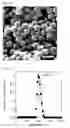 Fig. 09 - Porous oxide semiconductor including three-dimensionally interconnected nanopores, mesopores, and macropores, method for preparing the porous oxide semiconductor and gas sensor including the porous oxide semiconductor as gas sensing material