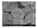 Fig. 01 - Aluminum-coated nickel cobalt containing composite hydroxide and method for manufacturing same, cathode active material for non-aqueous electrolyte secondary battery and method for manufacturing same, and non-aqueous electrolyte secondary battery