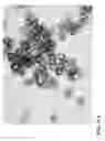 Fig. 22 - Treatment of aqueous systems