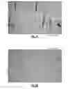 Fig. 03 - Ceramic article and method therefor using particle infiltration and preceramic polymer infiltration