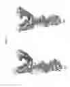 Fig. 06 - HTRPVI chemical agents