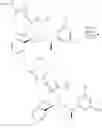 Fig. 147 - NK 1 ANTAGONISTS