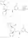 Fig. 210 - NK 1 ANTAGONISTS