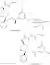 Fig. 232 - NK 1 ANTAGONISTS