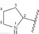 Fig. 80 - NK 1 ANTAGONISTS