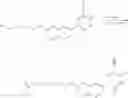 Fig. 449 - CEREBLON LIGANDS AND BIFUNCTIONAL COMPOUNDS COMPRISING THE SAME