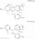 Fig. 902 - CEREBLON LIGANDS AND BIFUNCTIONAL COMPOUNDS COMPRISING THE SAME