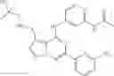 Fig. 482 - TGFβ receptor antagonist