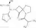 Fig. 35 - SPIRO-LACTAM NMDA RECEPTOR MODULATORS AND USES THEREOF