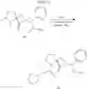 Fig. 63 - SPIRO-LACTAM NMDA RECEPTOR MODULATORS AND USES THEREOF