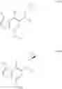 Fig. 10 - Asymmetric process for the preparation of thieno-indoles derivatives