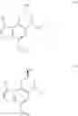Fig. 11 - Asymmetric process for the preparation of thieno-indoles derivatives