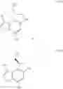 Fig. 15 - Asymmetric process for the preparation of thieno-indoles derivatives