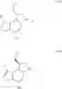 Fig. 59 - Asymmetric process for the preparation of thieno-indoles derivatives