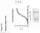Fig. 44 - Anti-CGRP compositions and use thereof