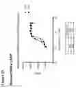 Fig. 50 - Anti-CGRP compositions and use thereof