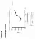 Fig. 53 - Anti-CGRP compositions and use thereof
