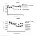 Fig. 28 - METHODS AND COMPOSITIONS FOR INHIBITING CD32B EXPRESSING CELLS