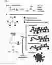 Fig. 04 - Cyclopropenium polymers and methods for making the same