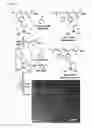 Fig. 06 - Cyclopropenium polymers and methods for making the same