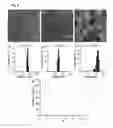 Fig. 08 - Cyclopropenium polymers and methods for making the same