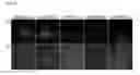 Fig. 07 - Two-component bioink, 3D biomaterial comprising the same and method for preparing the same