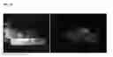 Fig. 09 - Two-component bioink, 3D biomaterial comprising the same and method for preparing the same