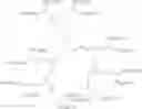 Fig. 03 - DETERGENT PARTICLE COMPRISING POLYMER AND SURFACTANT