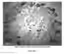 Fig. 05 - Low-VOC cleaning substrates comprising a quat and ethoxylated/propdxylated fatty alcohol