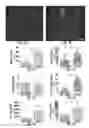 Fig. 08 - Three-dimensional vascular network assembly from induced pluripotent stem cells