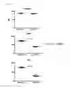 Fig. 08 - Method for Inducing Differentiation of Myeloid-Derived Suppressor Cells from Cord - Blood CD34 Positive Cells and Proliferating Same, and use of Myeloid-Derived