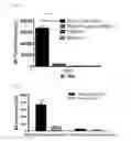 Fig. 09 - Method for Inducing Differentiation of Myeloid-Derived Suppressor Cells from Cord - Blood CD34 Positive Cells and Proliferating Same, and use of Myeloid-Derived