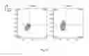 Fig. 07 - SYNTHETIC MEMBRANE-RECEIVER COMPLEXES