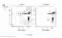 Fig. 49 - SYNTHETIC MEMBRANE-RECEIVER COMPLEXES
