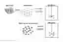 Fig. 01 - BIOPRESERVED STEM CELLS ON MICROCARRIERS