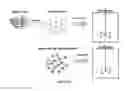 Fig. 02 - BIOPRESERVED STEM CELLS ON MICROCARRIERS