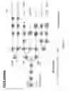 Fig. 09 - METHODS AND USES FOR EX VIVO TISSUE CULTURE SYSTEMS