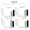 Fig. 08 - DIFFERENTIATION OF HUMAN IPS CELLS TO HUMAN ALVEOLAR TYPE II VIA DEFINITIVE ENDODERM