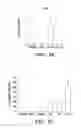Fig. 07 - Sustained polypeptide expression from synthetic, modified RNAs and uses thereof