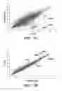 Fig. 35 - Sustained polypeptide expression from synthetic, modified RNAs and uses thereof