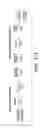 Fig. 45 - Sustained polypeptide expression from synthetic, modified RNAs and uses thereof